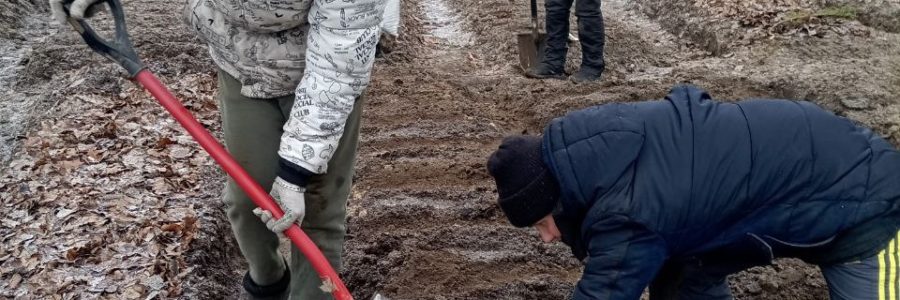 Садовые эксперименты. Часть 2